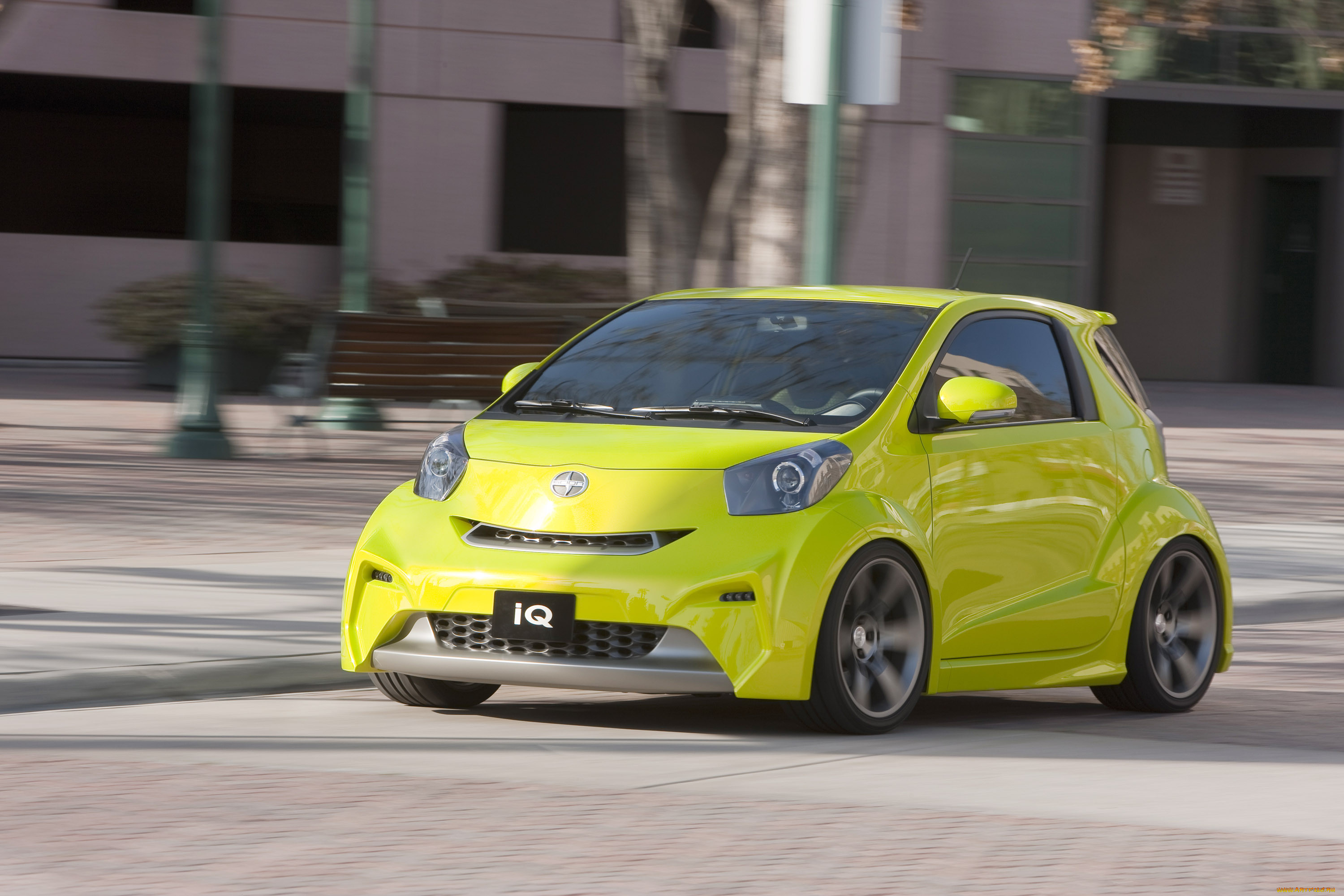 , scion